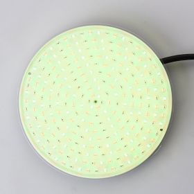 Swimming pool light (Option: Warm White-25W)