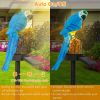 Solar Powered Parrot Garden Light IP65 Waterproof LED Parrot Landscape Lamp Decorative Lawn Lights